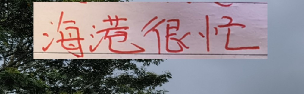 官方网站-2026年海港应该是最忙的球队 去年还有申花陪 今年只能是孤勇者